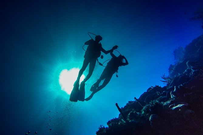 Full-Day Scuba Diving Catalina Island Tour from Bavaro - Key points to know before booking