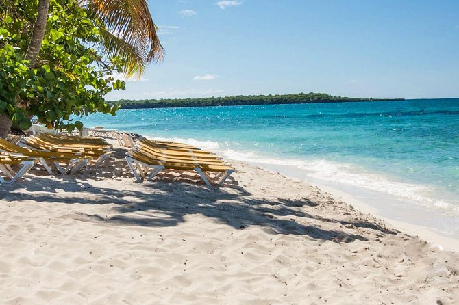 Full-Day Scuba Diving Catalina Island Tour from Bavaro - Catalina Island’s two underwater sites