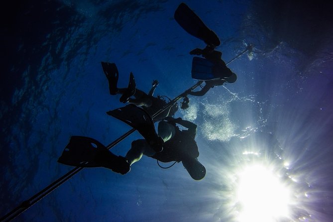 Full-Day Scuba Diving Catalina Island Tour from Bavaro - Who will enjoy this Catalina Island day