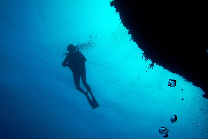 (Full day)Scuba Diving in Rhodes - Swimming and snorkeling between groups
