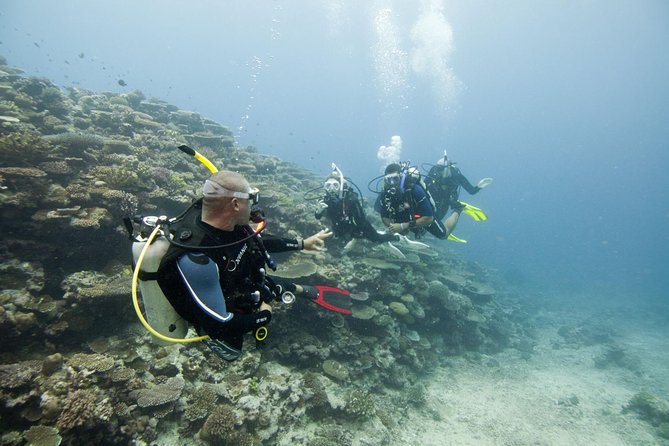Fun Dives For Certified Divers - Why Nilaveli is a strong base for underwater exploring