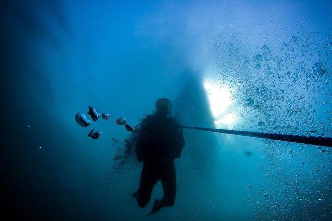 Fun Dives For Certified Divers - What the price really gets you