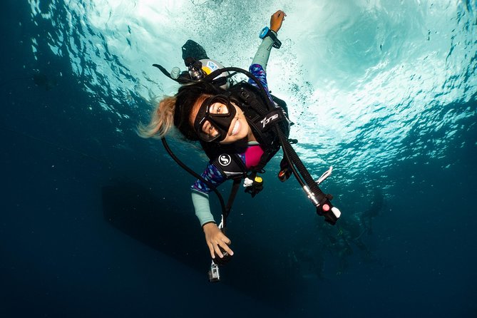 Fun Diving Packages (Certified Divers) - What you may see at the named sites