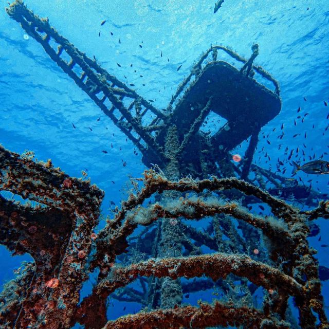 Funchal: Advanced Scuba Diving Afonso Cerqueira Wreck - What the underwater route offers