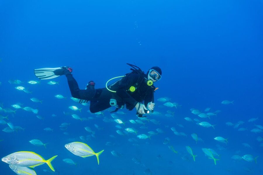 Funchal: Certified Scuba Diving, Guided Tour - Languages, timing, and booking flexibility