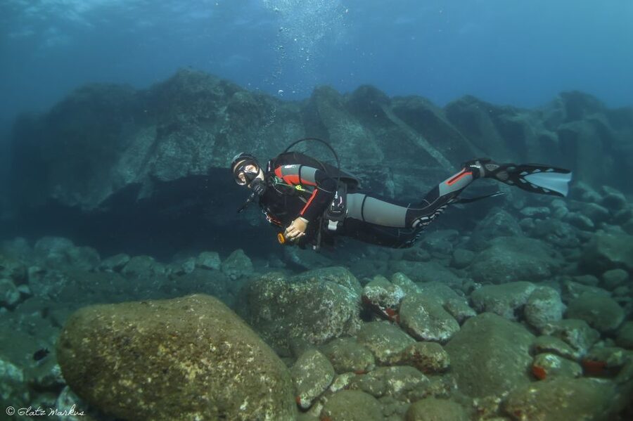 Funchal: Certified Scuba Diving, Guided Tour - A simple way to return to Atlantic waters