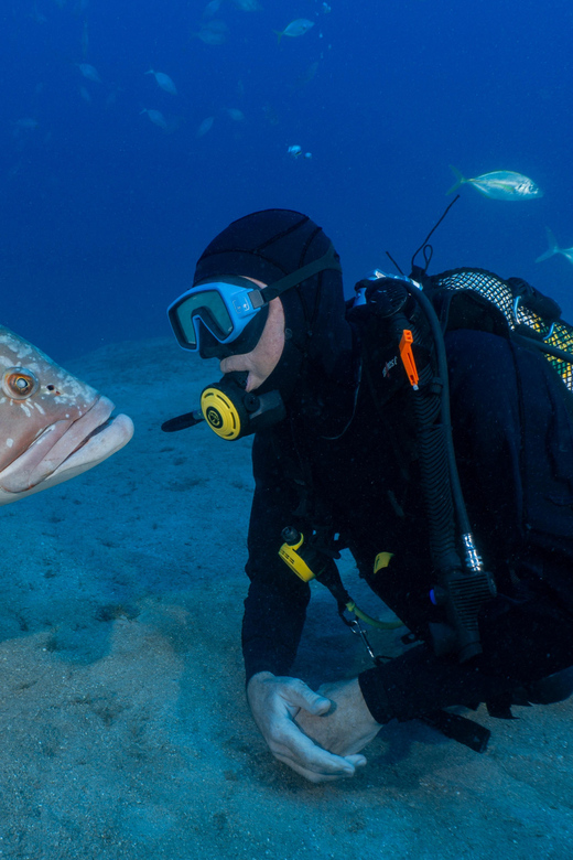 Funchal: Garajau national park - certified divers - The 10 to 15 minute cruise east from Funchal