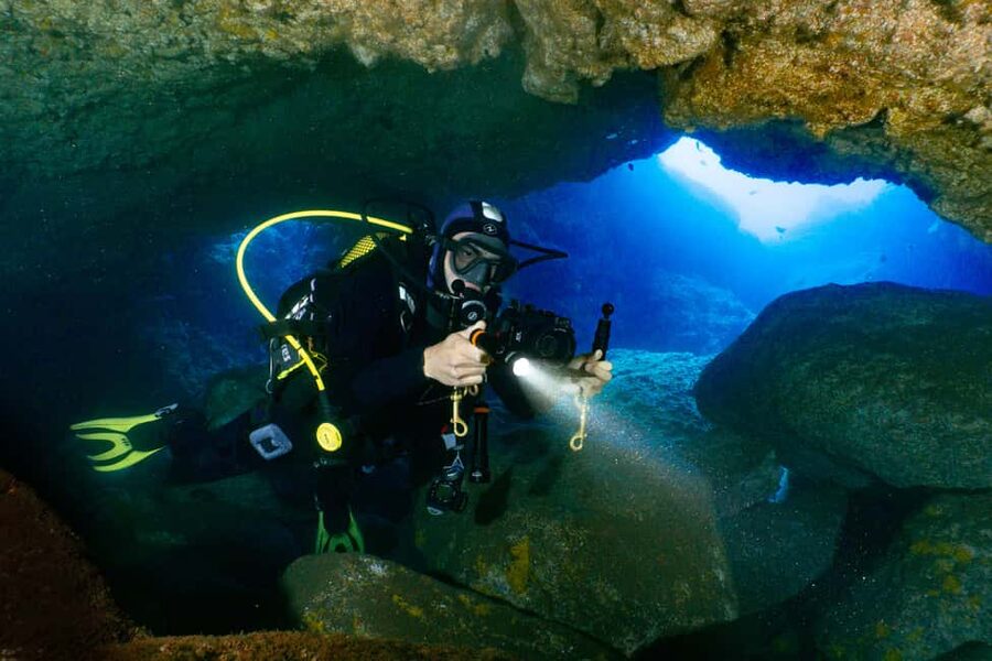 Funchal: Garajau national park - certified divers - Starting at Madeira Divepoint inside Pestana Carlton