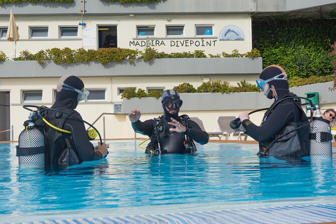 Funchal: Scuba Diving Experience for Beginners - Starting beside Funchal’s protected reef