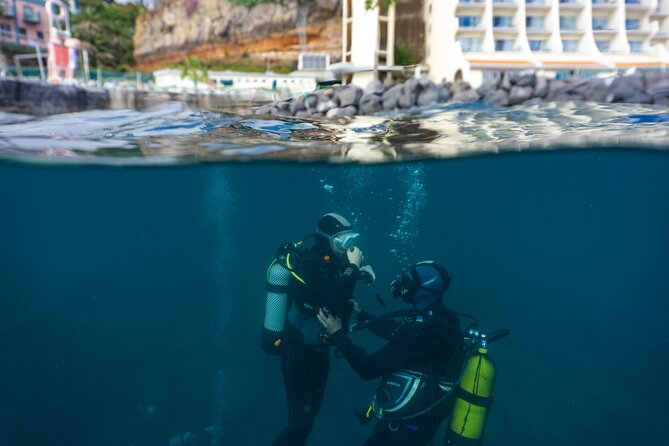 Funchal: Scuba Diving Experience for Beginners - What you might see around the reef