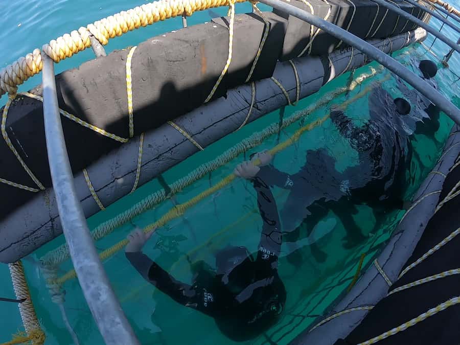 Gansbaai: Shark Cage Diving and Shark Viewing Boat Trip - Breakfast, safety, and the return to shore