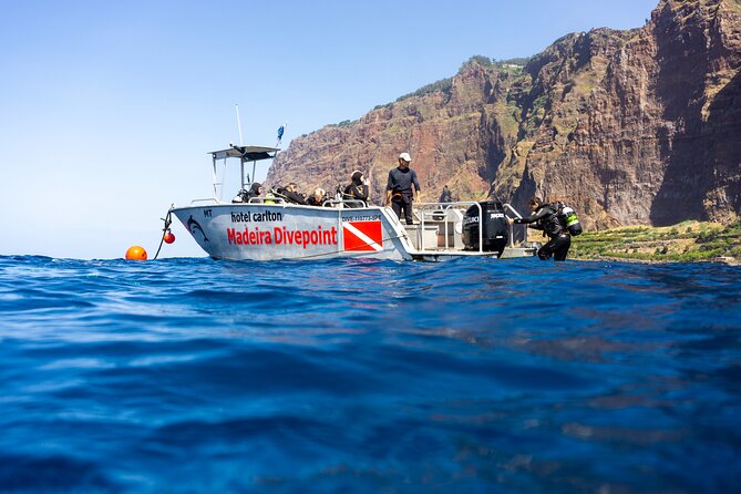 Garajau National Park Dive from Funchal for Certified Divers - What happens at Madeira Divepoint
