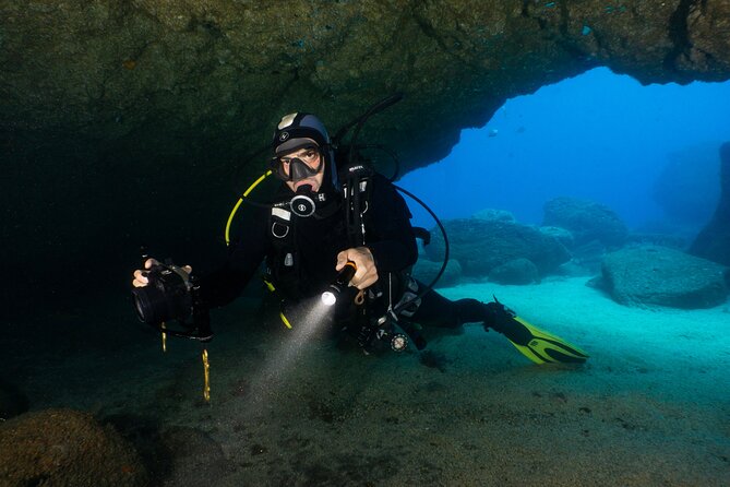 Garajau National Park Dive from Funchal for Certified Divers - What the $51.82 price really covers