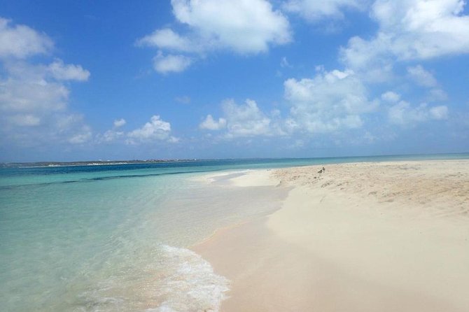 Gibbs Cay Stingray and Conch Dive Adventure - Snorkeling and the extra marine life