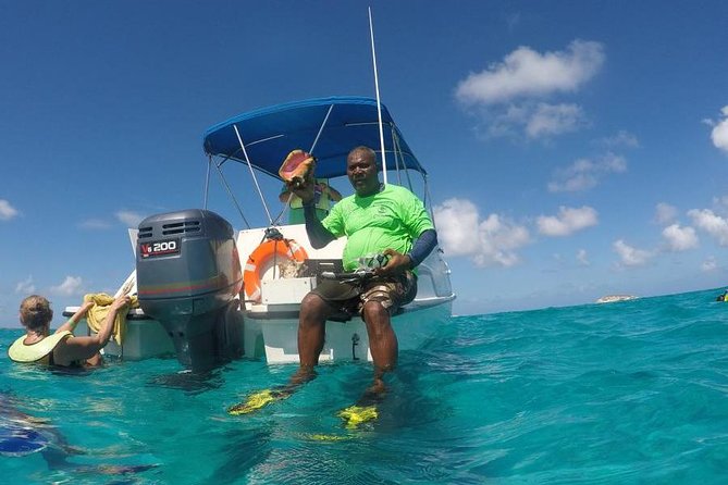Gibbs Cay Stingray and Conch Dive Adventure - Meeting the southern stingrays in shallow water