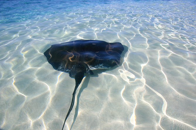 Gibbs Cay Stingray and Conch Dive Adventure - The boat ride from Grand Turk to Gibbs Cay