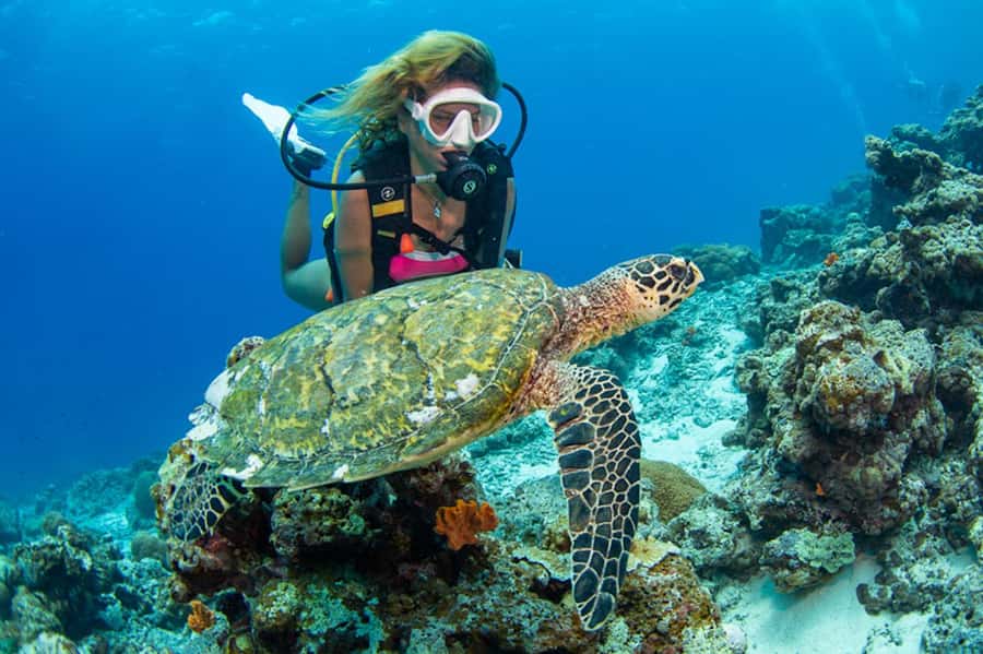 Gili Meno: Discover Scuba Diving for the first time - One hour in the pool: the smartest part of the morning