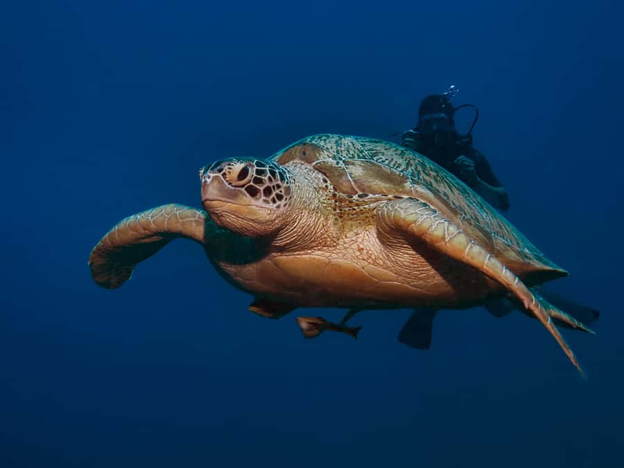 Gili Meno: Discover Scuba Diving for the first time - The instructors make the difference
