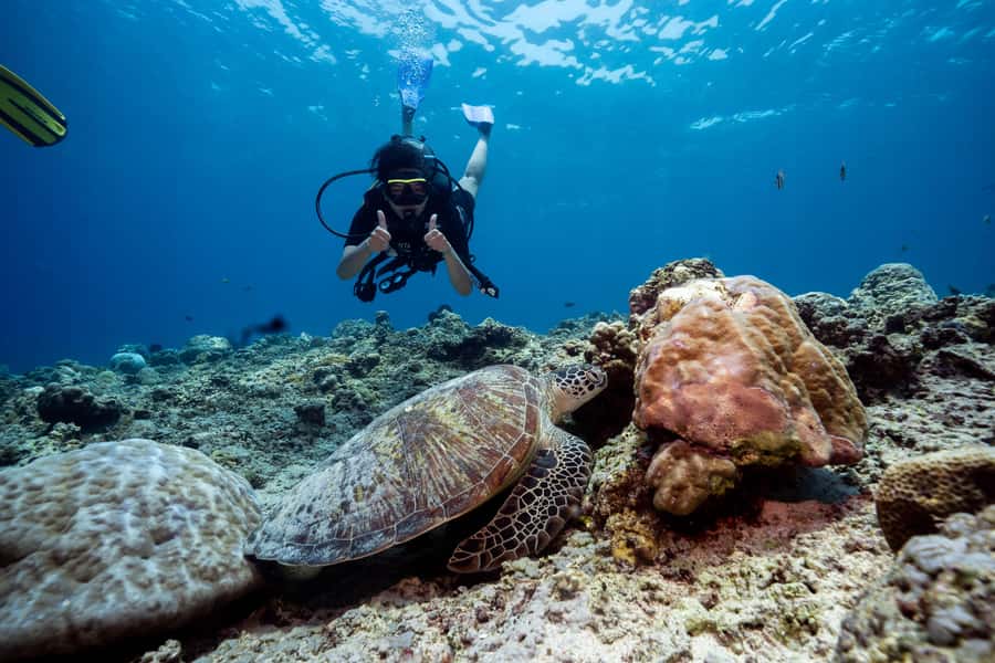 Gili Trawangan : Discovery Scuba Diving - Why this is a good first underwater experience