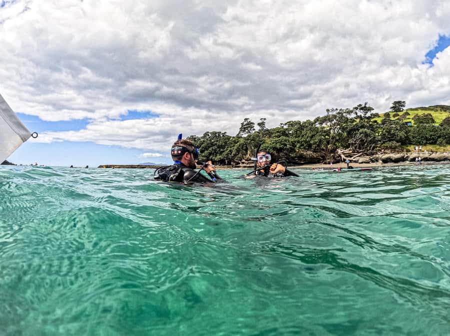 Goat Island Try Scuba Diving Experience - Key points to know before booking