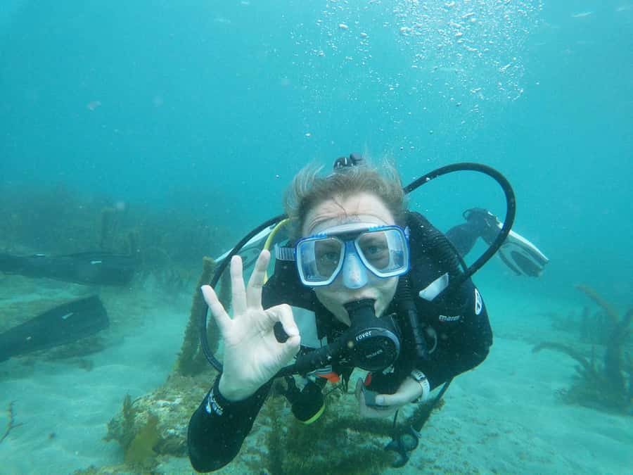 Goat Island Try Scuba Diving Experience - Practical tips for a smoother session