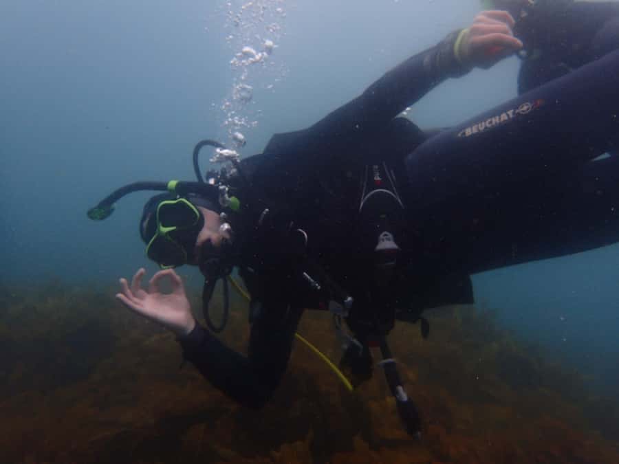 Goat Island Try Scuba Diving Experience - The main strengths and limits