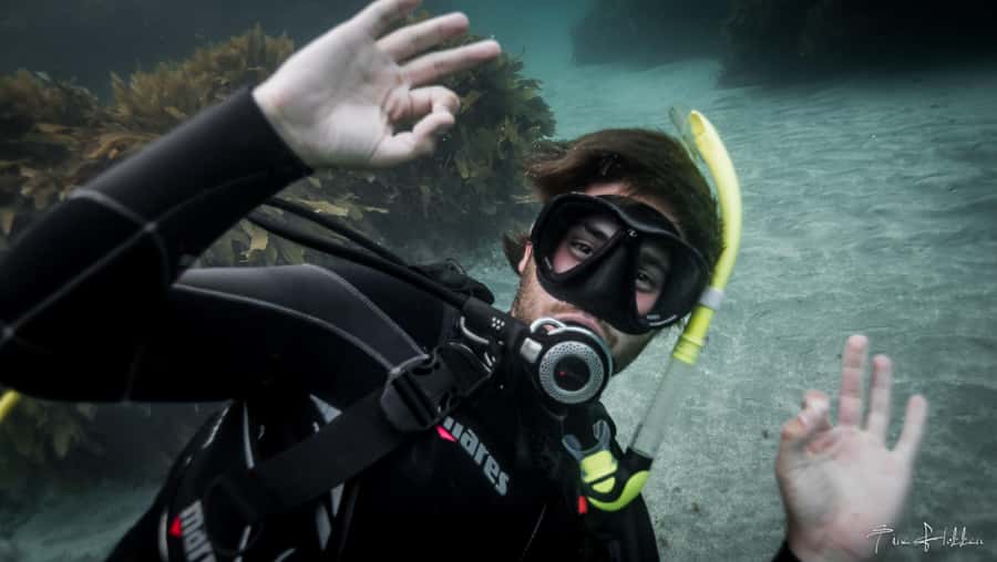Goat Island Try Scuba Diving Experience - What happens during the four hours