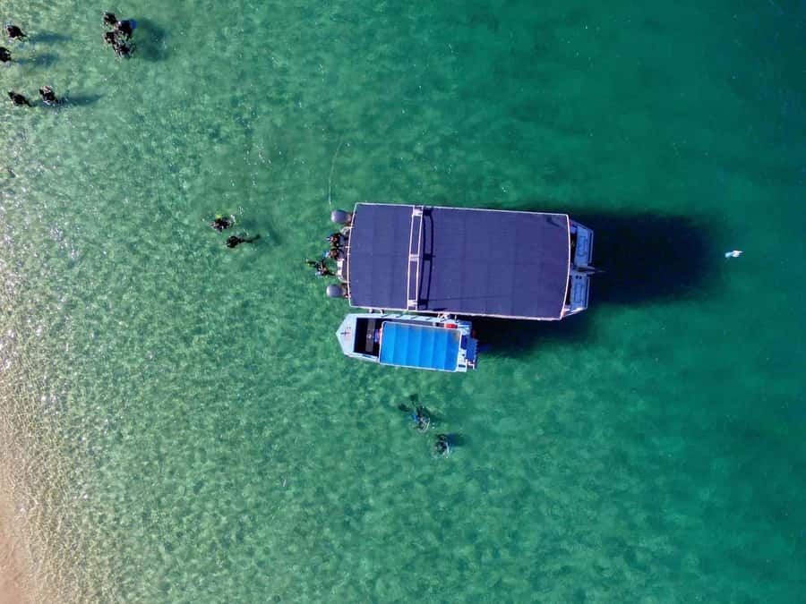 Gold Coast: 3-Day PADI Open Water Course - What this Gold Coast course actually teaches you