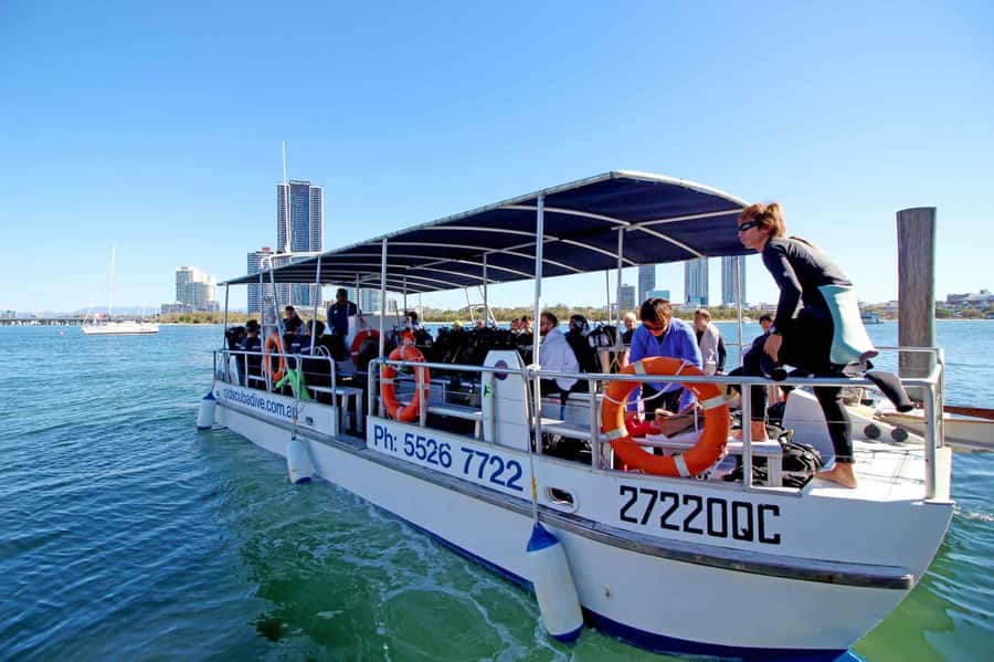 Gold Coast: 3-Day PADI Open Water Course - Who should book this course