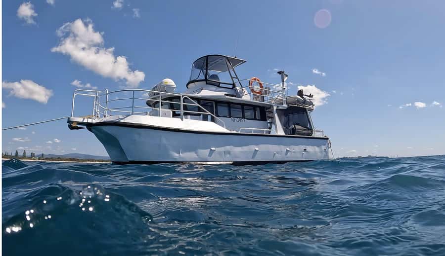 Gold Coast: Cook Island Marine Reserve Scuba Experience Dive - The underwater session: beautiful, but not a full-day expedition