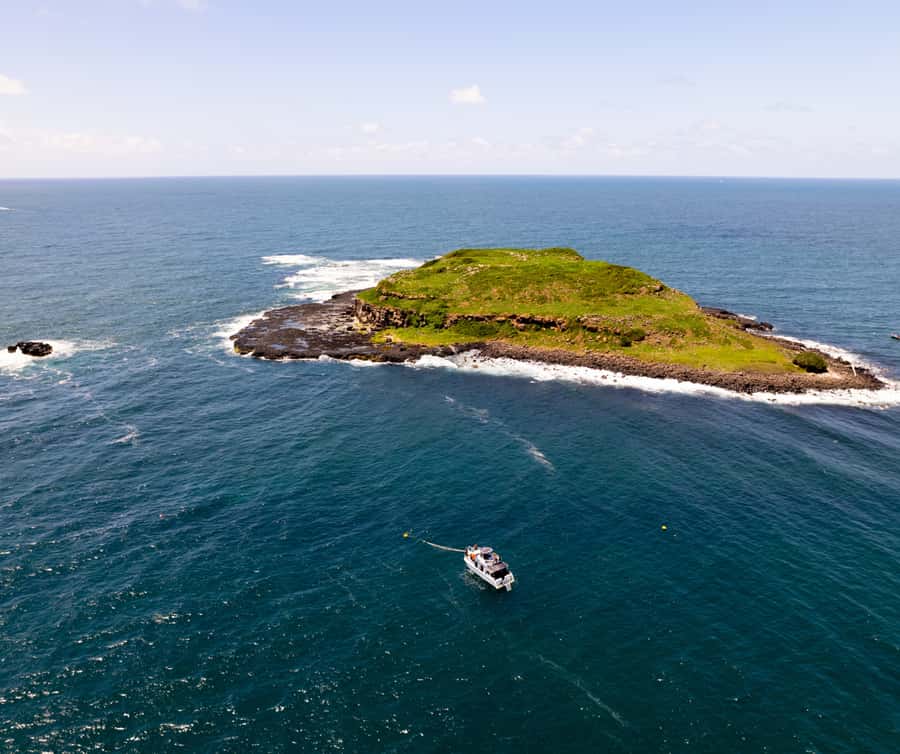 Gold Coast: Cook Island Marine Reserve Scuba Experience Dive - Cancellation and planning details