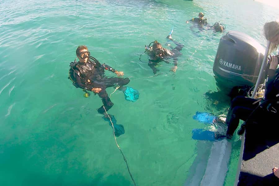Gold Coast: Introductory SCUBA Diving Experience - What the four-hour Gold Coast outing is really like