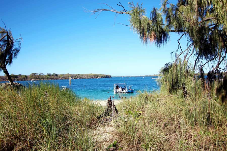Gold Coast: Introductory SCUBA Diving Experience - Fish, rocky areas, and the sensation of weightlessness