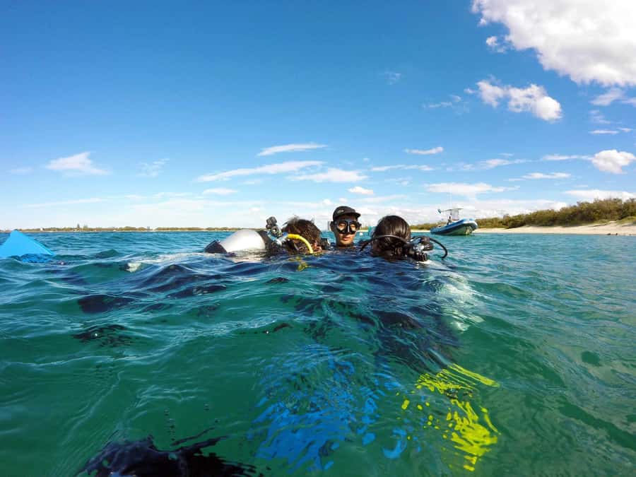 Gold Coast: Introductory SCUBA Diving Experience - Who should book this first-time scuba session?