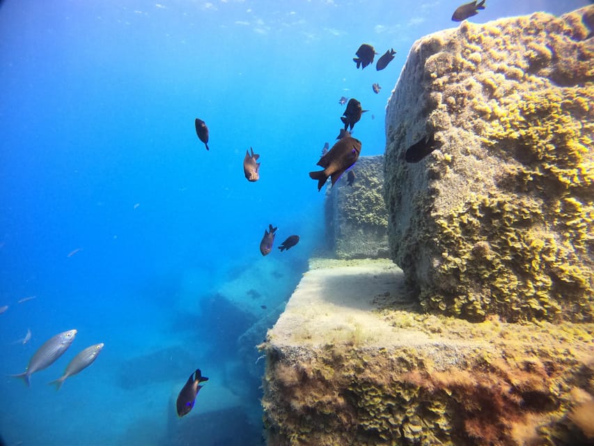 Gran Canaria: 3-Day Open Water Diver Course - Key points to know before booking