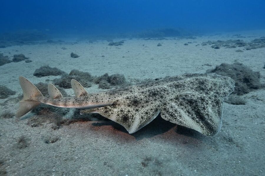 Gran Canaria: 3-Day Open Water Diver Course - What the three days are really like