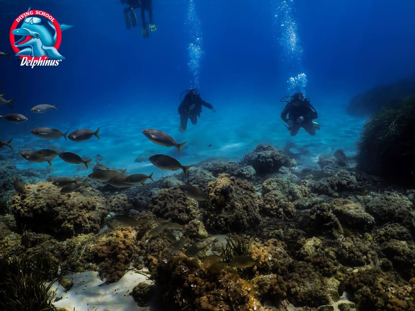 Gran Canaria: 3-Day Open Water Diver Course - Why the included training matters