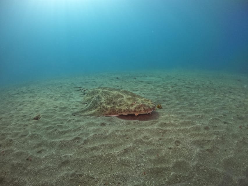 Gran Canaria: 3-Day Open Water Diver Course - What the $530 price includes