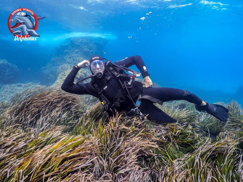 Gran Canaria: Discover Scuba Diving Beginner Program - Key points to know before booking