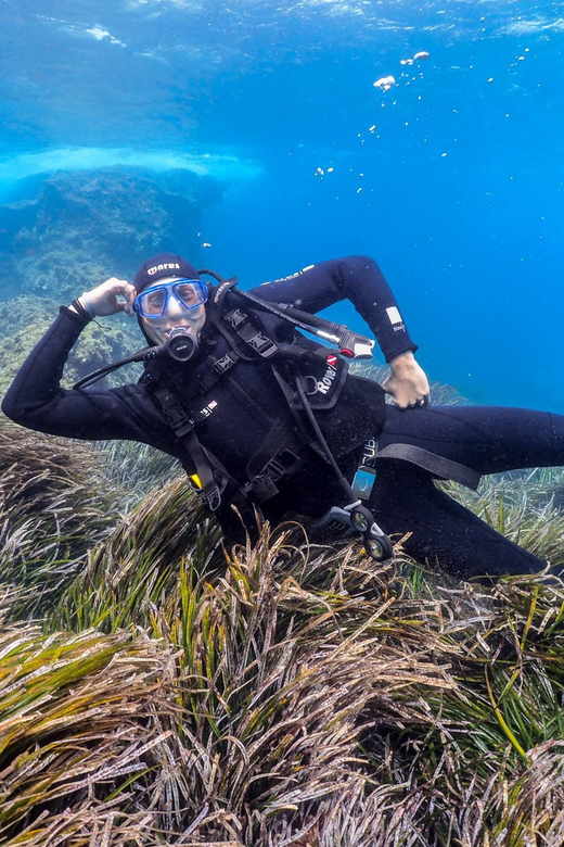 Gran Canaria: Discover Scuba Diving Beginner Program - Who will get the most from this experience