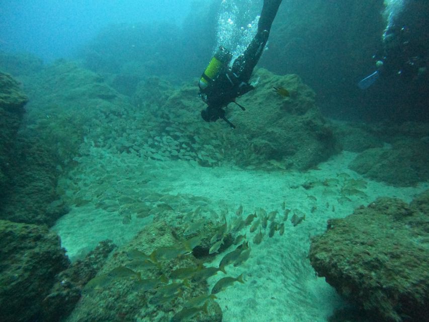 Gran Canaria: Discover Scuba Diving - Free Transfers - What the 30-minute training really prepares you for