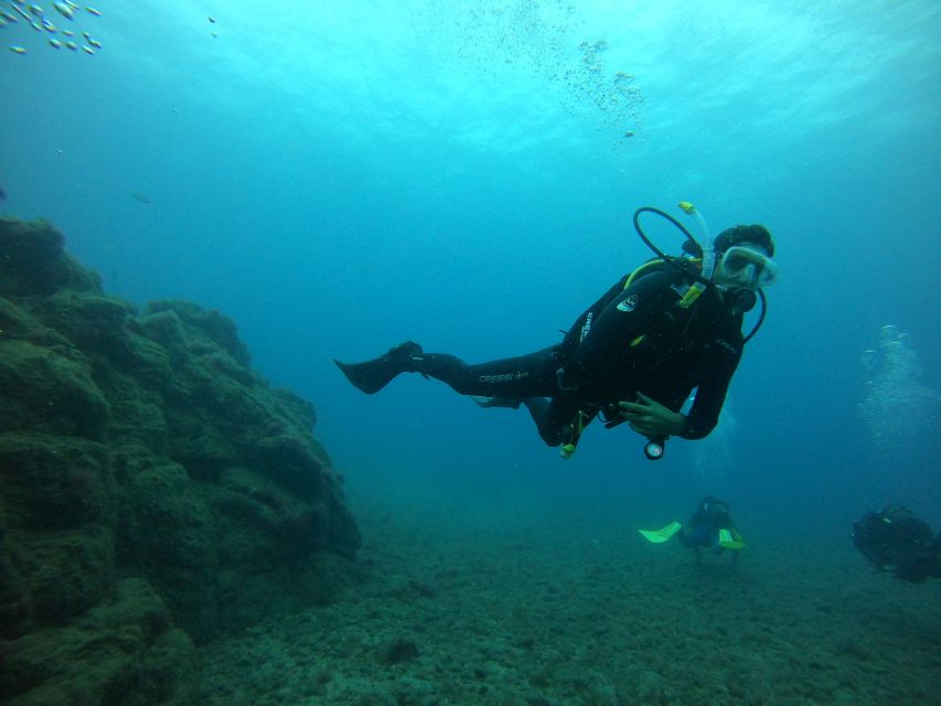 Gran Canaria: Discover Scuba Diving - Free Transfers - Is $105 a fair price?
