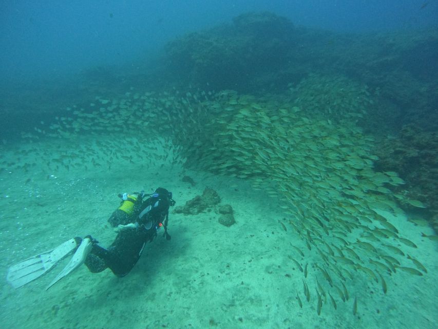 Gran Canaria: Discover Scuba Diving - Free Transfers - Choosing between Tufia and Amadores