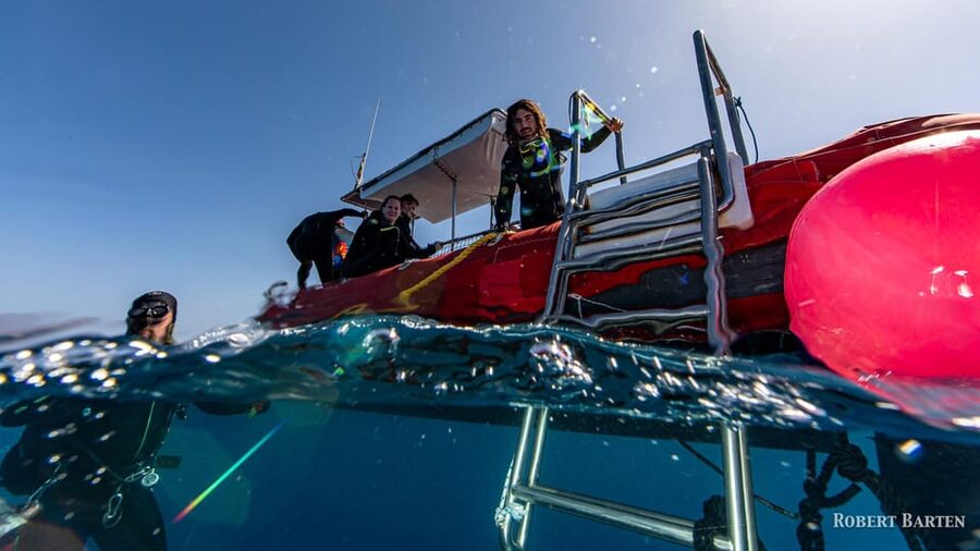 Gran Canaria:Live an Adventure and Learn to Dive with Expert - Should you book the Playa de Amadores session?