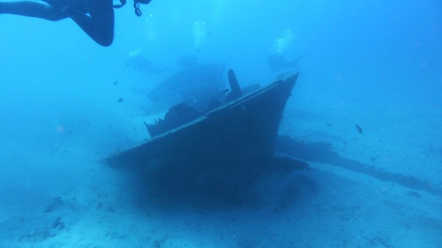 Gran Canaria: Morning Scuba Dive - Why Gran Canaria works so well underwater