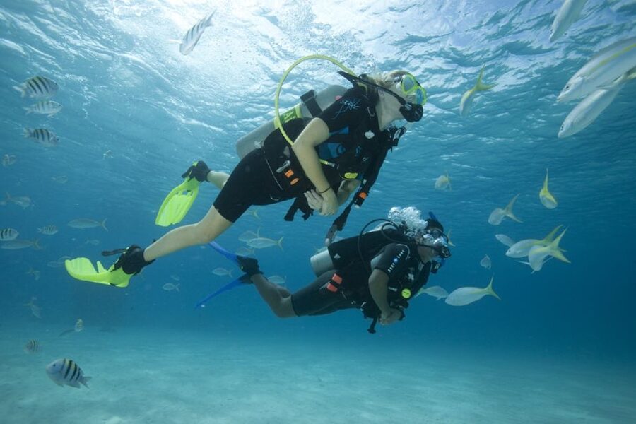 Gran Canaria: Scuba Diving for Beginners - Shallow-water practice before the real session