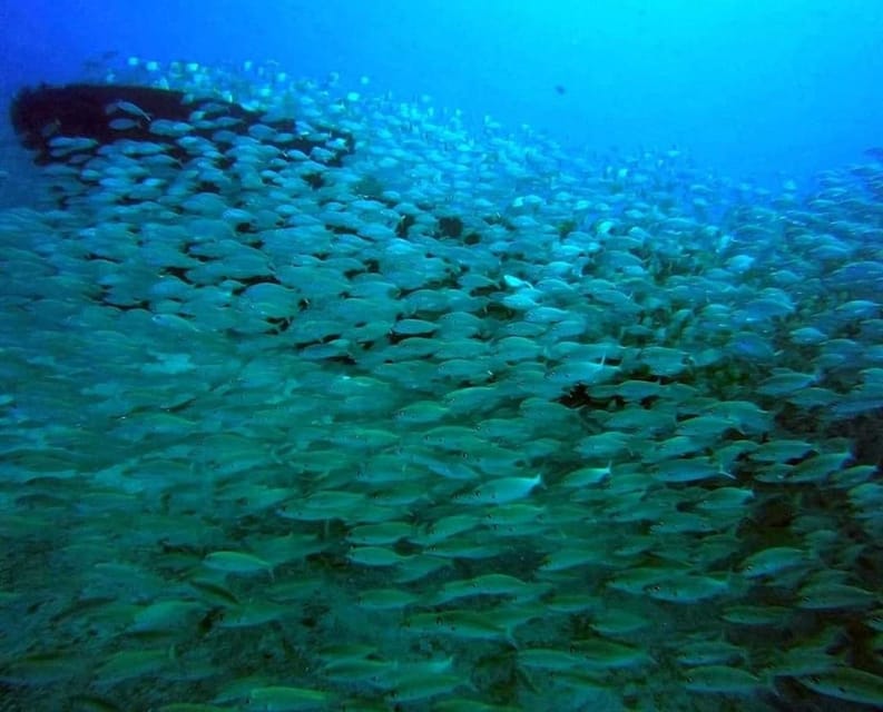 Gran Canaria: Scuba Diving for Beginners - Is this the right first scuba experience for you?