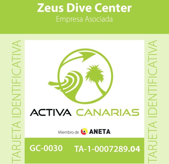 Gran Canaria Scuba Diving for Certified Divers - Choosing between shore, boat, wreck, and night outings