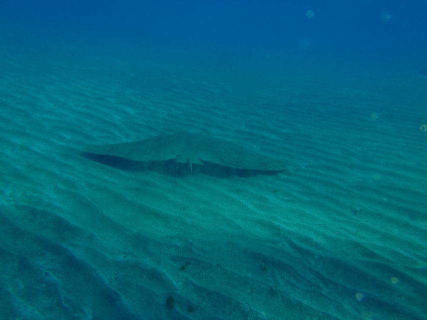 Gran Canaria Scuba Diving for Certified Divers - Clothing, weather, and the shore-entry reality