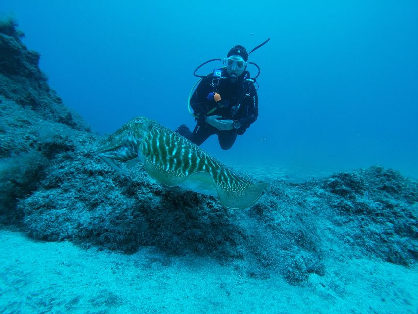 Gran Canaria: Try Scuba Diving for Beginners - Should you book this Gran Canaria scuba session?